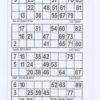 HSE Bingokupong - Bild 2